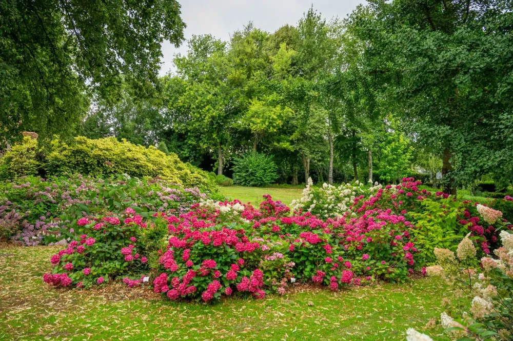 Bosquets de fleurs